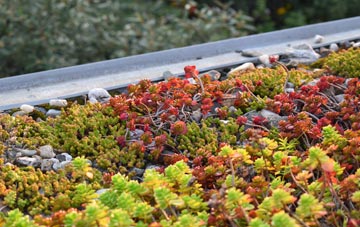 the cost of Steel Bank green roof installation